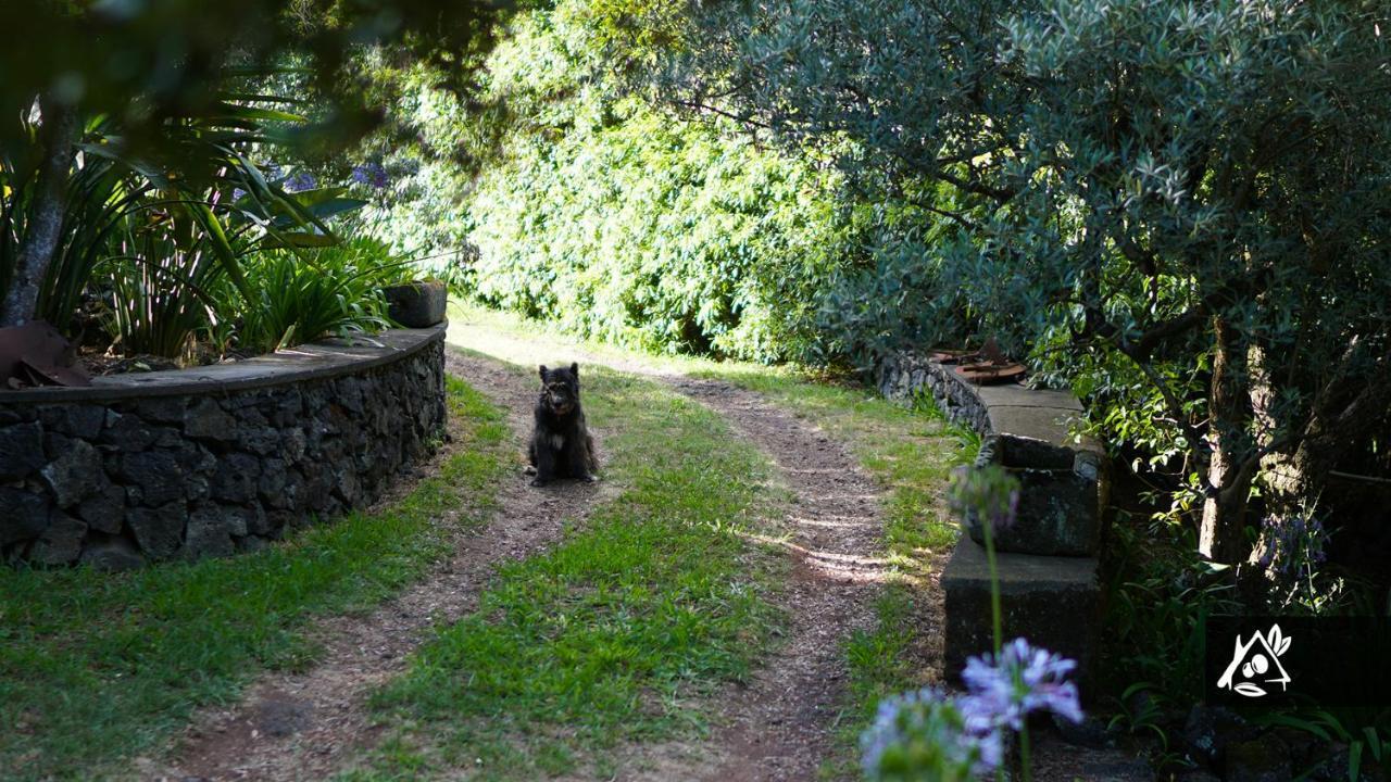 Quinta Do Paraiso Porto Martins Kültér fotó