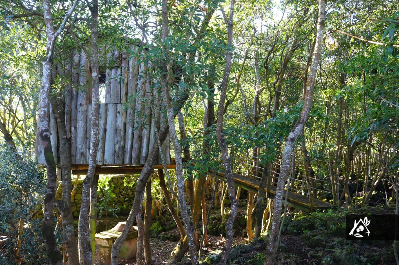 Quinta Do Paraiso Porto Martins Kültér fotó